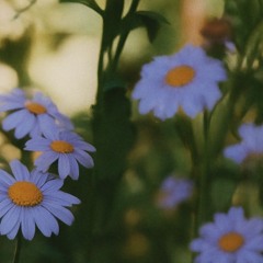 Last summer