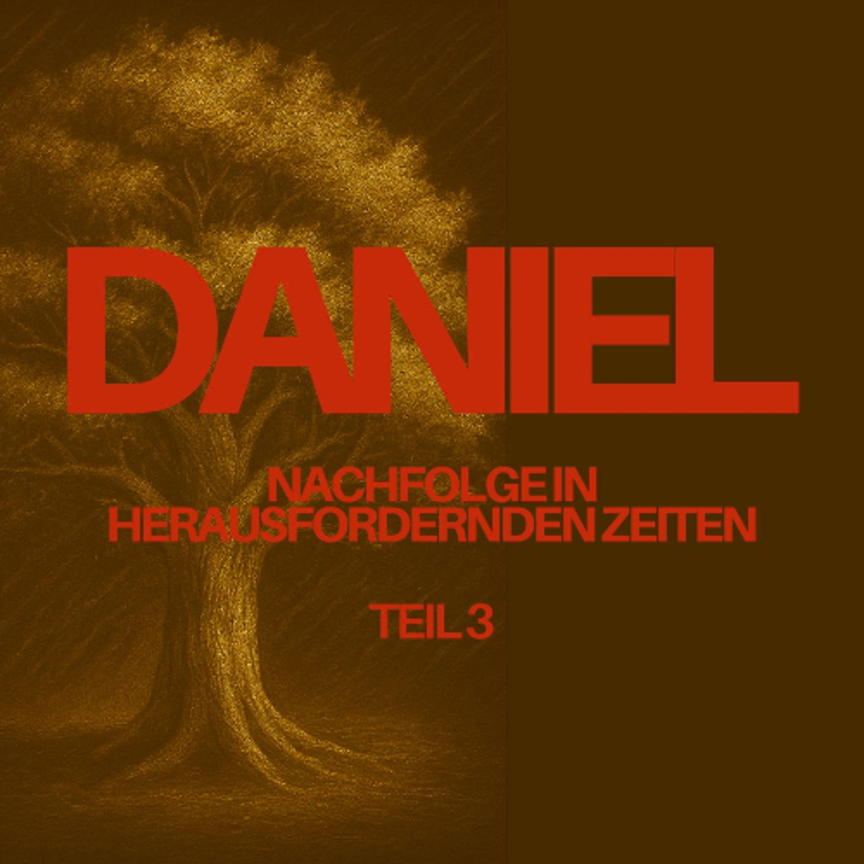 Frank Laffin - Das Buch Daniel - Teil 3