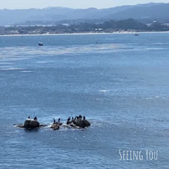 Chuck Mullen - Seeing You