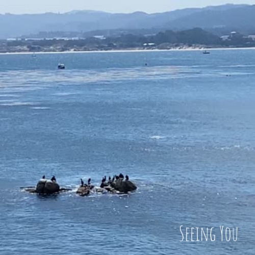 Chuck Mullen - Seeing You