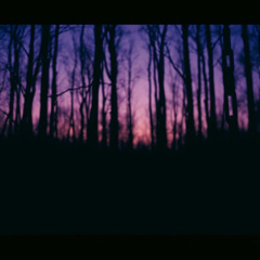 Я – парнишка седой