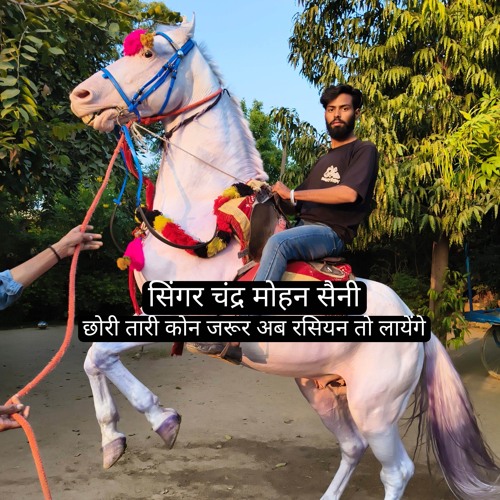 छोरी तारी कोन जरूर अब रसियन तो लायेंगे