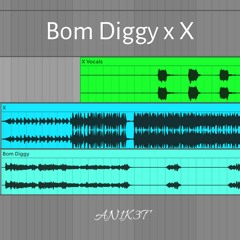 Bom Diggy x X