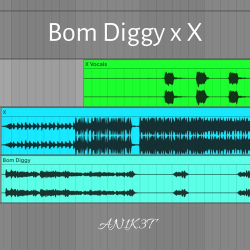 Bom Diggy x X