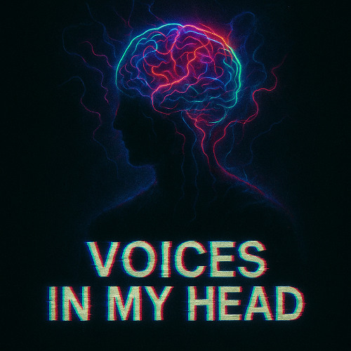 Shaaidan - Voices in my Head