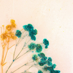 Orione (Empty Spaces)