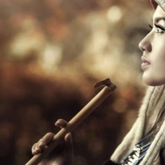 The Flute Tune   (DNB & Psy Remix)