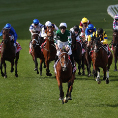 The Mix Of The Spring Carnival