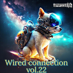 wired connection vol.22 remixed