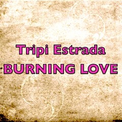 Burning Love ( Original Mix )