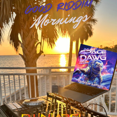 Space Dawg Riddim Mix