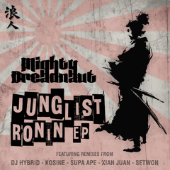 Junglist Ronin (DJ Hybrid Remix)