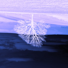 Premonition (Edit)