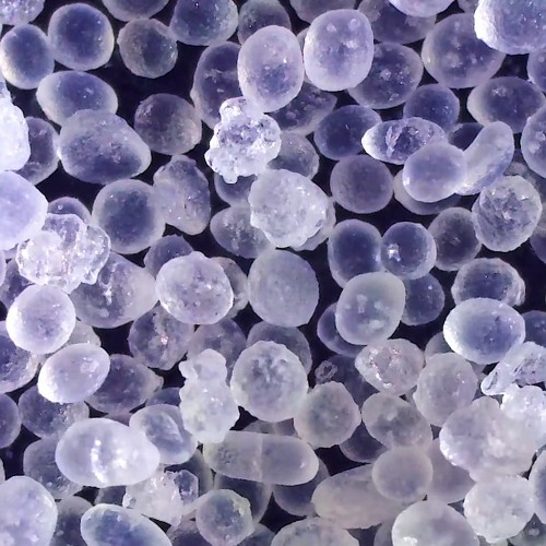 Under The Microscope