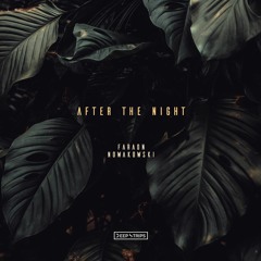 Faraon & Nowakowski - After The Night ( Original Mix )