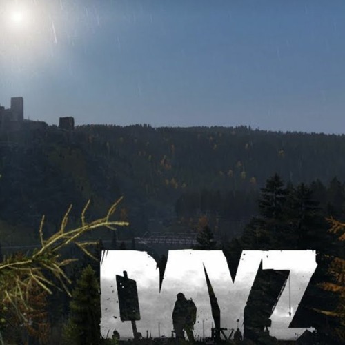 New Dayz Revednb Flip