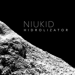 Niukid - Hidrolizator (Original Mix)