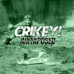 Crikey! AKA DaveIV AKA TheOddOne - Juxtaposed(Original Mix)FREE DOWNLOAD