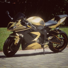 GOLD BODY KAWASAKI