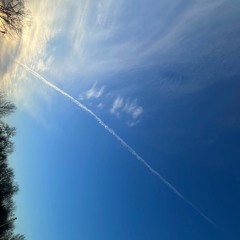 REC Live - 2024 - 02 - 02