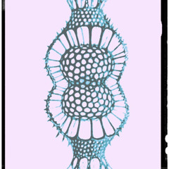 Triangulum