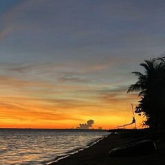 Coconut Mangi 2023 Kronos