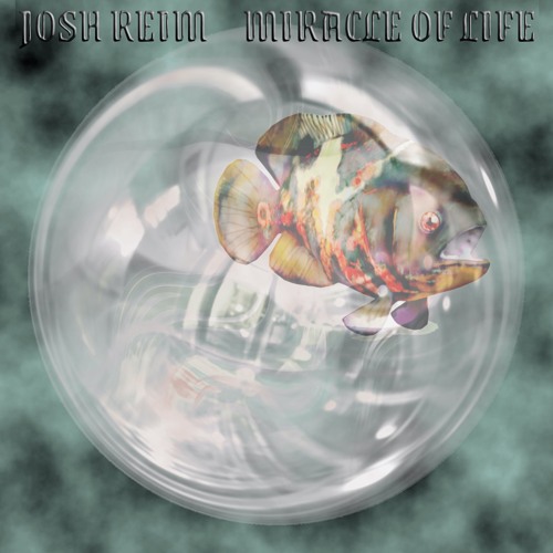 Stream Miracle Of Life By Josh Reim Listen Online For Free On Soundcloud
