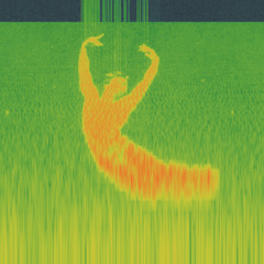 The Recording Angel w/ The Avalanches + Palo Santo Discos 301024