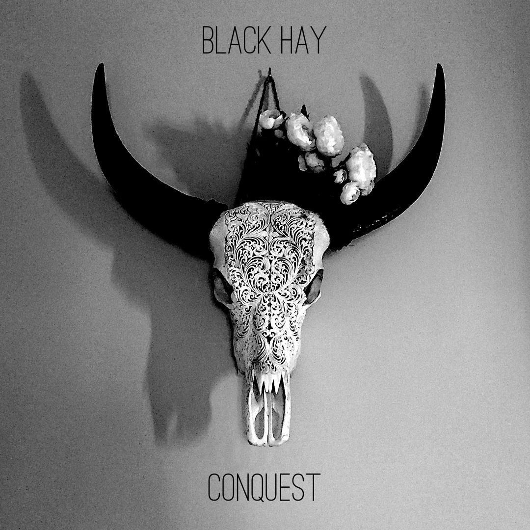 Stream Black Hay | Listen to Conquest playlist online for free on ...