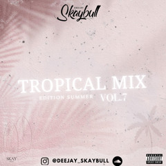 DJ SKAYBULL - TROPICAL MIX VOL.7