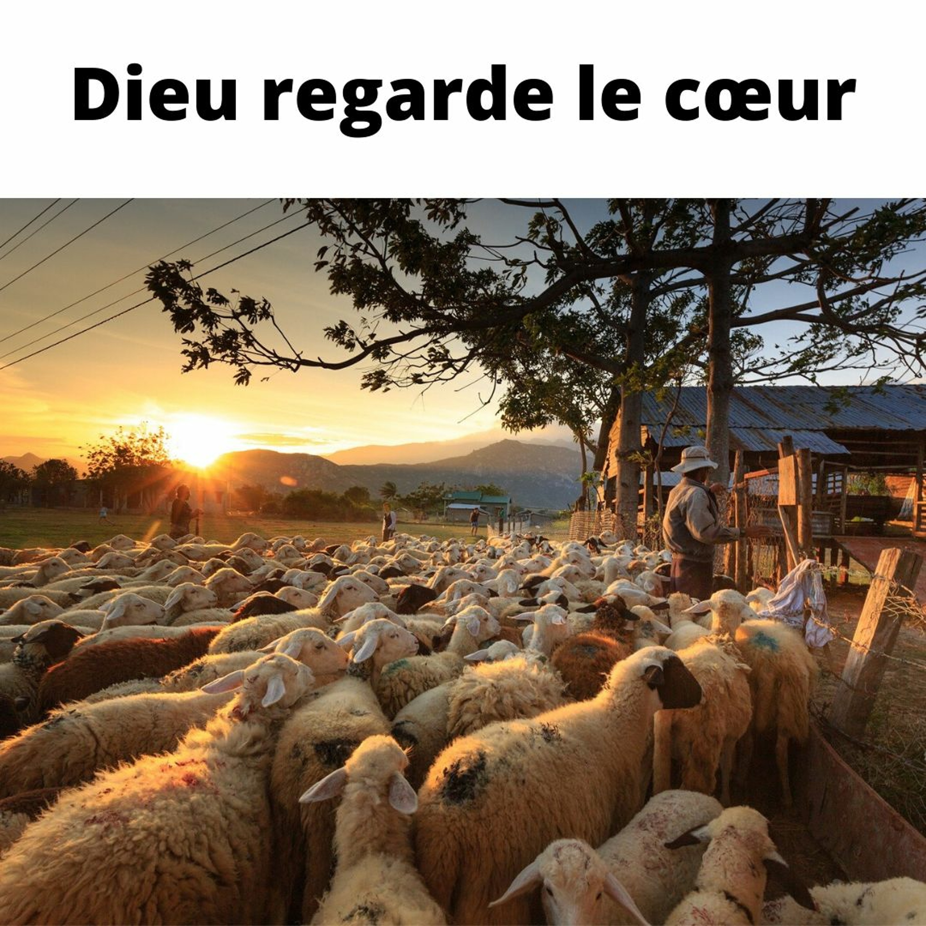 365Histoires