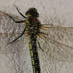 MLTB - Casual Techno Set