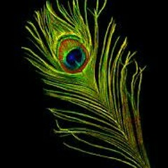 Karo mann Nand nandan ko dhyaan