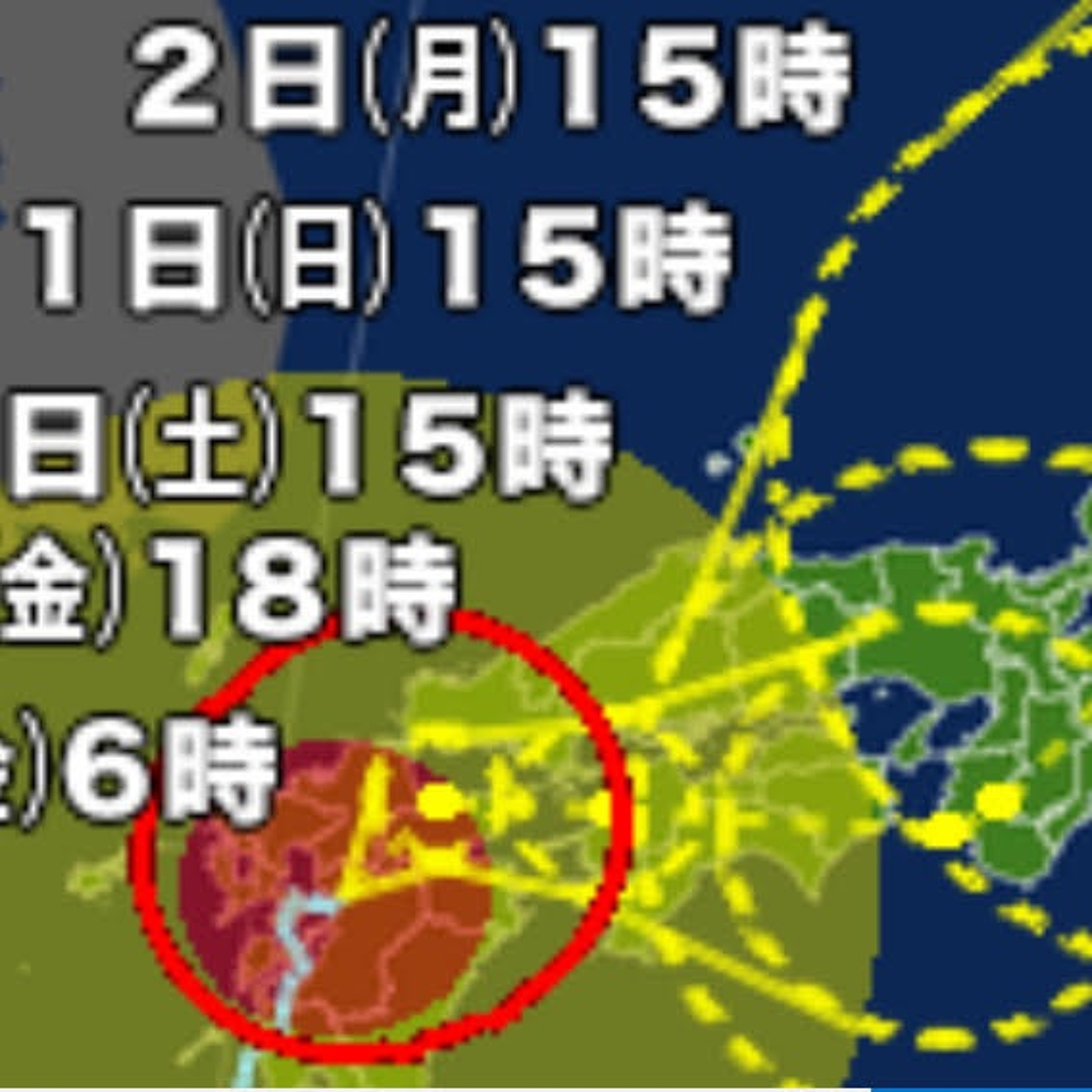 Disability News Japan