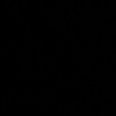 9ango - GRAND THEFT WALRUS