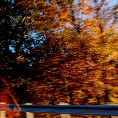 DAMAGE (feat. Goyard Sad Boi & xipz)