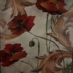 Dont (prod @xiaocoolman19)