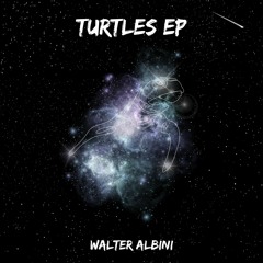 Walter Albini - Wanna Do ? (Original Mix) - Snip
