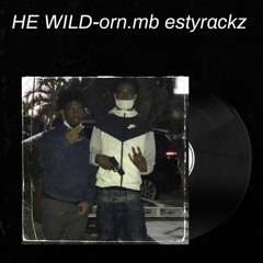 HE WILD x estyy racks