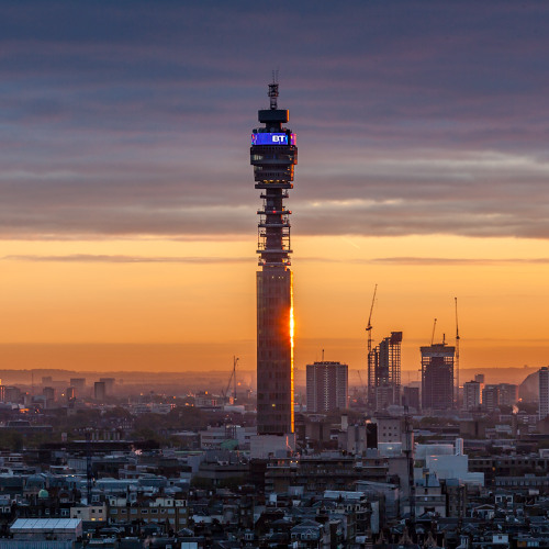 commonwealth (blantwrud vetix1k)