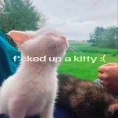 f*cked up a kitty