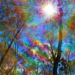 JACK LINKS (prod. Jootsu)