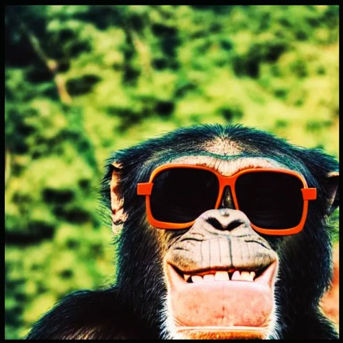 Deep in the Jungle (Dub D&B mix)