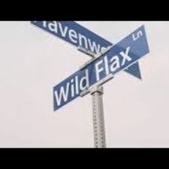 Smoove5k- Letter To Da Flax