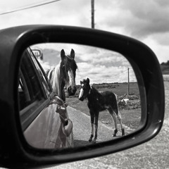 jersery remix w/Ant$