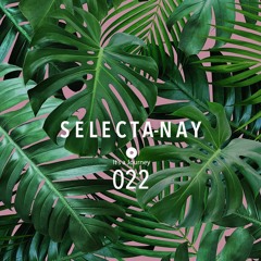 It's a Journey Radio 022 - SELECTA-NAY
