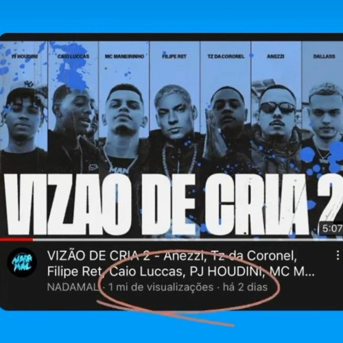 VIZÃO DE CRIA 2 - Anezzi_ Tz da Coronel_ Filipe Ret_ Caio Luccas_ PJ HOUDINI_ MC Maneirinho_ Dallass