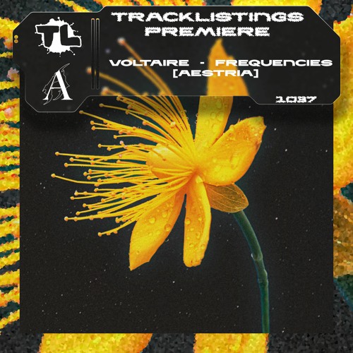 TL PREMIERE : Voltaire - Frequencies [AESTRIA]