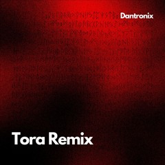 Dantronix - Ininna Tora Remix (Raveroom) (Extended Mix)