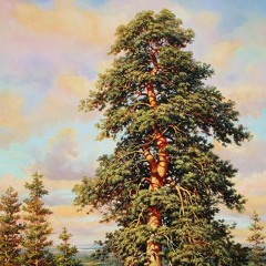 Grow, Grow My Green Pine Tree | Rasti Rasti Moj Zeleni Bore - Serbian Orthodox Chant